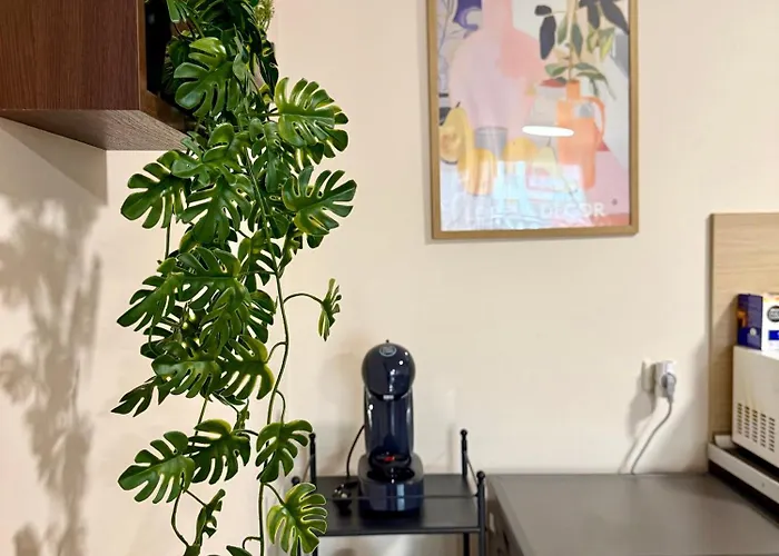 公寓 Gino's Place Home2host *